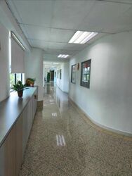 Asia Pacific Breweries (D22), Factory #508604631